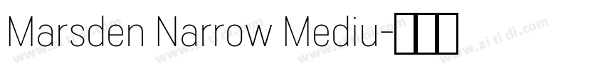 Marsden Narrow Mediu字体转换 Marsden Narrow Mediu字体转换